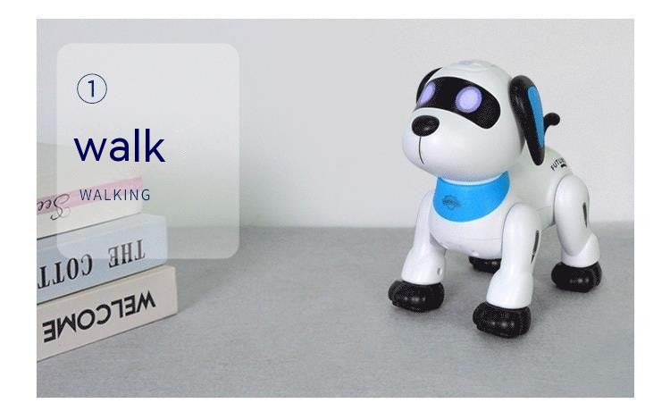 Programmable Robot Dog Toy with Remote and Voice Control (K21)