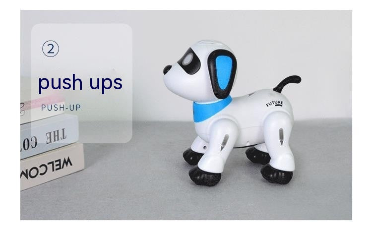 Programmable Robot Dog Toy with Remote and Voice Control (K21)