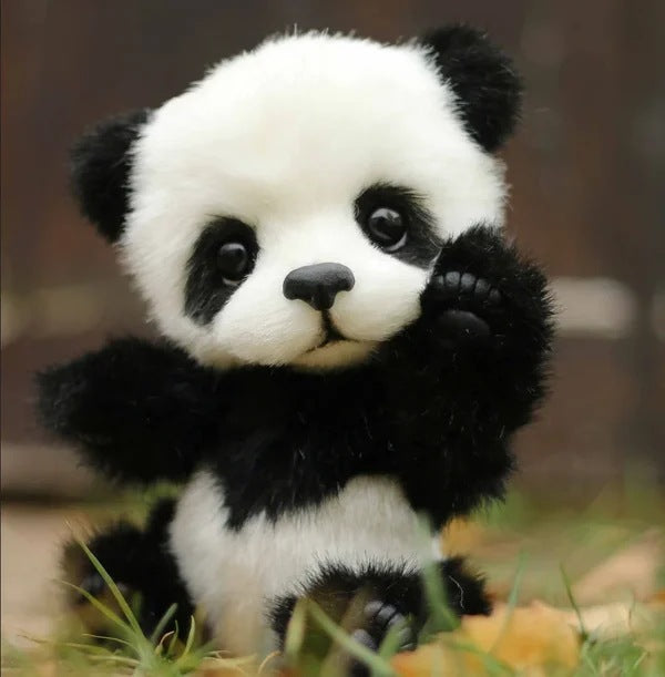 Cute Cartoon Plush Bear Doll – Panda, Raccoon and Brown Bear (25 cm)