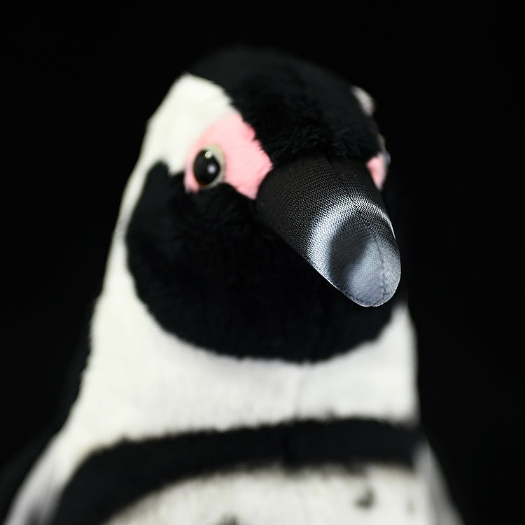 Cute Penguin Plush Toy for Kids – 27 cm Soft Cuddle Buddy