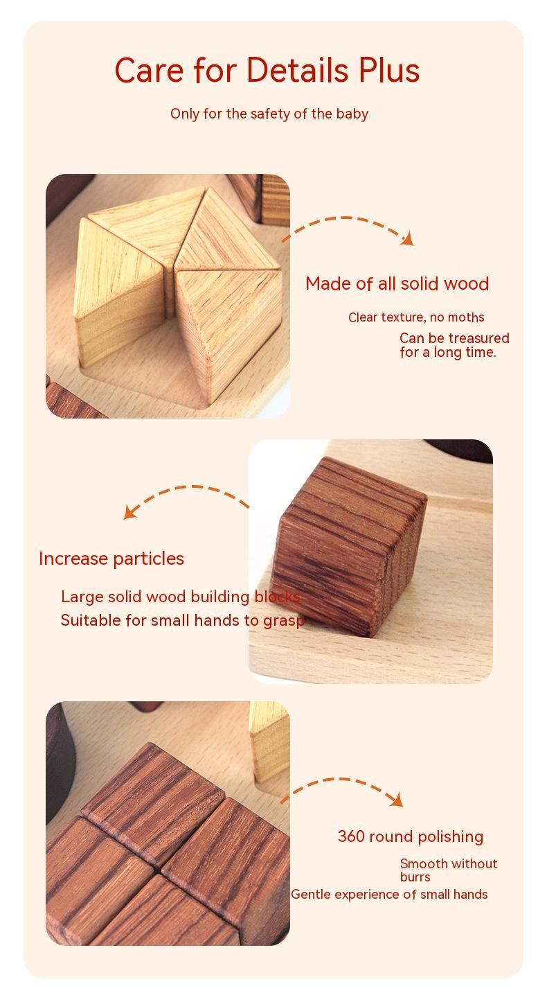 Multi-Wood Geometric Cognition Board – Slide & Match (Ages 2+)