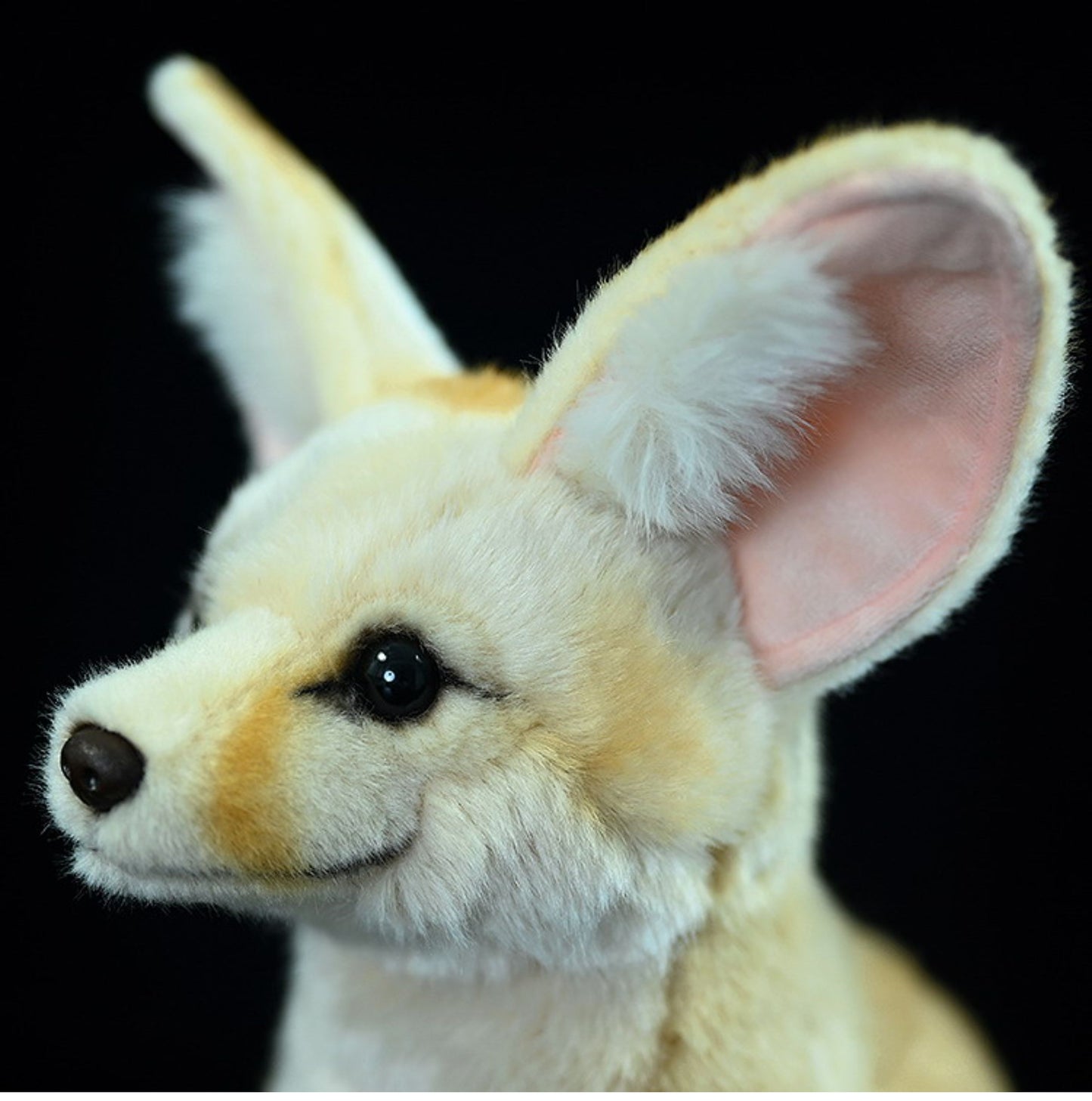 Realistic Wide-Eared Fox Plush Toy – 26 cm Lifelike Desert Fox