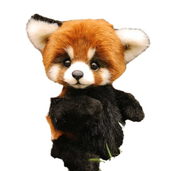 Cute Cartoon Plush Bear Doll – Panda, Raccoon and Brown Bear (25 cm)