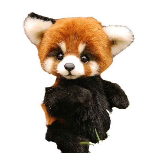 Cute Cartoon Plush Bear Doll – Panda, Raccoon and Brown Bear (25 cm)