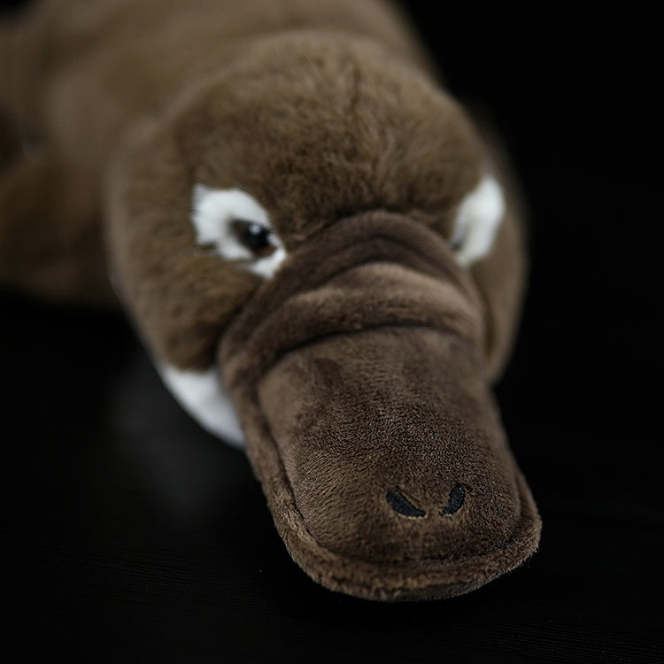 Realistic Platypus Plush Doll, 43 cm – Soft Flannel